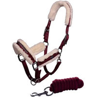 Produktbild von Equestrian Stockholm Halfter und Longiergurt Set aus Nylon für Ponys in Rot Weiß Silber