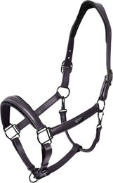 Equestrian Stockholm Lederhalfter Glimmer Anatomic Dark Violet Cob – Bild 1 von 1
