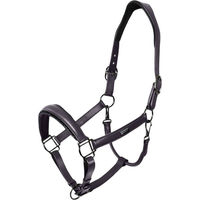 Produktbild von Equestrian Stockholm Lederhalfter Glimmer Anatomic Dark Violet Cob