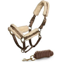Produktbild von Equestrian Stockholm Set aus Halfter und Longiergurt für Pferde in Beige mit Gold und Braun aus Plüsch