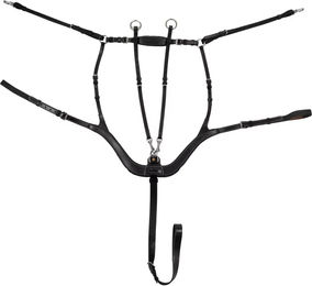 Produktbild von Equestro Anatomic Jagdhalsband für Pferde aus Leder in Schwarz
