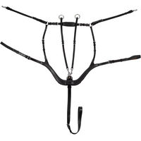 Produktbild von Equestro Anatomic Jagdhalsband für Pferde aus Leder in Schwarz