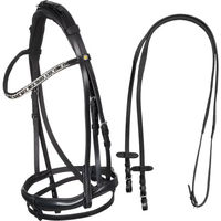 Produktbild von Equestro Anatomisches Reithalfter aus Leder mit kombiniertem Nasenriemen in Schwarz Full
