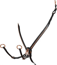 Produktbild von Equestro Clincher Lederhalsband für Ponys in Schwarz mit Rose Gold