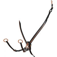 Produktbild von Equestro Clincher Lederhalsband für Ponys in Schwarz mit Rose Gold