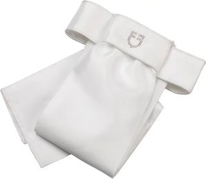 Produktbild von Equestro Dressur-Plastron Lancillotto Weiß aus Stoff für Reiter