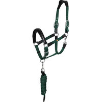 Produktbild von Equestro Ergonomic Lani New Halfter und Longiergurt Set aus Biothane für Pferde in Grün