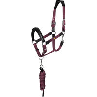 Produktbild von Equestro Ergonomic Lani New Set aus Halfter und Longiergurt für Pferde aus Biothane