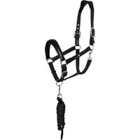 Produktbild von Equestro Ergonomic Lani New Set aus Halfter und Longiergurt für Pferde aus Kunstleder in Schwarz