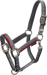 Produktbild von Equestro Halfter und Führleine aus Nylon für Pferde in Grau