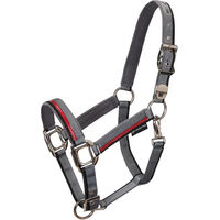 Produktbild von Equestro Halfter und Führleine aus Nylon für Pferde in Grau