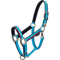 Produktbild von Equestro Halfter und Führleine für Pferde aus Nylon in Blau