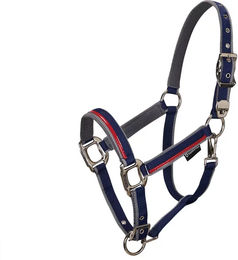 Produktbild von Equestro Halfter und Führleine für Pferde aus Nylon in Blau