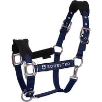Produktbild von Equestro Halfter und Führleine für Pferde aus Nylon in Blau
