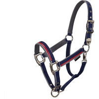 Produktbild von Equestro Halfter und Führleine für Pferde aus Nylon in Blau