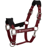 Produktbild von Equestro Halfter und Führleine für Pferde aus Nylon in Braun und Rot