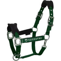 Produktbild von Equestro Halfter und Führleine für Pferde aus Nylon in Grün