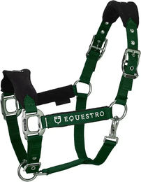Produktbild von Equestro Halfter und Führleine für Pferde aus Nylon in Grün