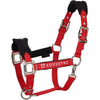 Produktbild von Equestro Halfter und Führleine für Pferde aus Nylon in Rot