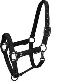 Produktbild von Equestro Halfter und Führleine für Pferde aus Nylon in Schwarz