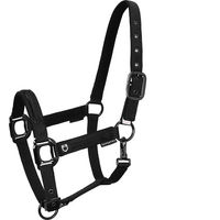 Produktbild von Equestro Halfter und Führleine für Pferde aus Nylon in Schwarz