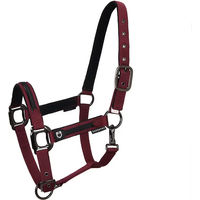 Produktbild von Equestro Halfter und Führleine für Pferde aus Nylon in Schwarz oder Braun