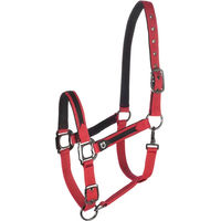Produktbild von Equestro Halfter und Führleine für Pferde aus Nylon in Schwarz oder Rot