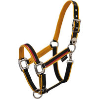 Produktbild von Equestro Halfter und Führleine für Pferde aus Nylon in Schwarz und Gelb