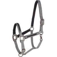 Produktbild von Equestro Halfter und Führleine für Pferde aus Nylon in Schwarz und Grau
