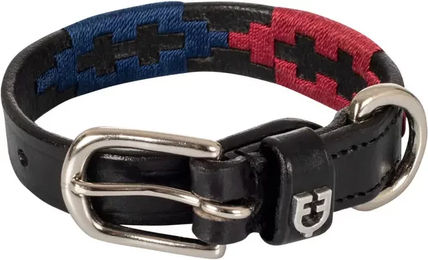Produktbild von Equestro Hundehalsband Polo S aus Nylon in Schwarz oder Bunt