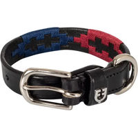 Produktbild von Equestro Hundehalsband Polo S aus Nylon in Schwarz oder Bunt