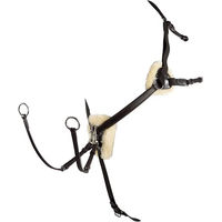 Produktbild von Equestro Jagd-Martingal Salome Modell mit 5 Spitzen aus Leder in Braun für Warmblut
