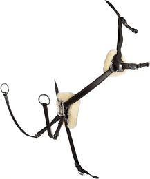 Produktbild von Equestro Jagdhalsband aus gegerbtem Leder mit 5 Punkten für Vollblut Pferde