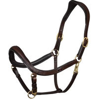 Produktbild von Equestro Jagdhalsband aus Leder für Ponys in Braun