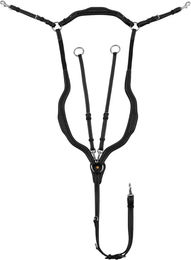 Equestro Jagdhalsband für Pferde – Bild 1 von 1