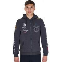 Produktbild von Equestro Kapuzenpullover New Style mit Mehrfach-Logo für Herren in Grau Größe M