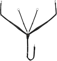 Produktbild von Equestro Leder-Hunter-Halsung für Pferde mit Stickereien in Schwarz Größe M