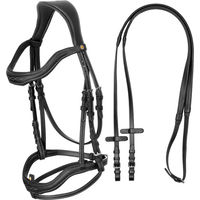 Produktbild von Equestro Leder Trense für Ponys in Schwarz