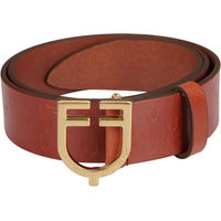Produktbild von Equestro Ledergürtel Unisex Braun mit Goldspange 100 cm
