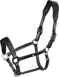 Produktbild von Equestro Lederhalfter für Pferde in Schwarz