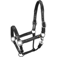 Produktbild von Equestro Lederhalfter für Pferde in Schwarz