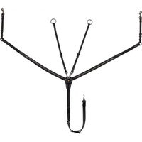 Produktbild von Equestro Lederhalfter für Pferde mit Gabel und Nagel in Schwarz