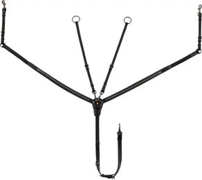 Produktbild von Equestro Lederhalfter für Pferde mit Gabel und Nagel in Schwarz