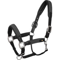 Produktbild von Equestro Lederhalfter für Pferde mit geflochtenen Nylon-Einsätzen in Schwarz