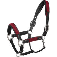 Produktbild von Equestro Lederhalfter für Pferde mit geflochtenen Nylon-Einsätzen in Schwarz oder Rot