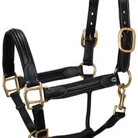 Produktbild von Equestro Lederhalfter Superior für Pferde Schwarz