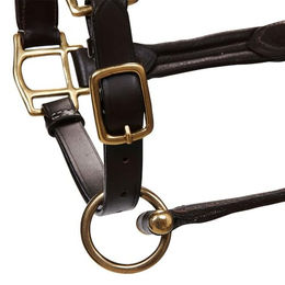 EQUESTRO Lederhalfter Superior für Ponys in Braun – Bild 1 von 4