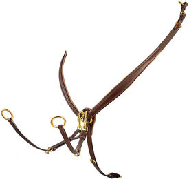 Produktbild von Equestro Lederhalsband mit Schnalle für Pferde in Schwarz oder Braun