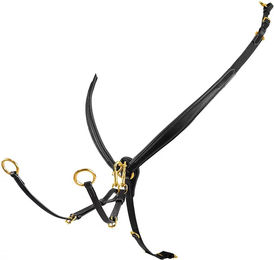 Produktbild von Equestro Lederhalsband mit Schnalle Schwarz