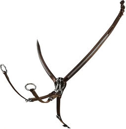 Produktbild von Equestro Lederjägerhalsband für Pferde aus Leder in Schwarz, Silber oder Braun